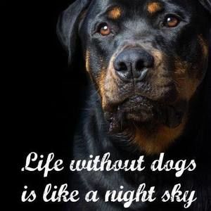 Meet your Posher, Tim